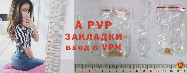 ГАЛЛЮЦИНОГЕННЫЕ ГРИБЫ Карталы