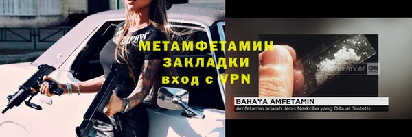прущие грибы Касимов