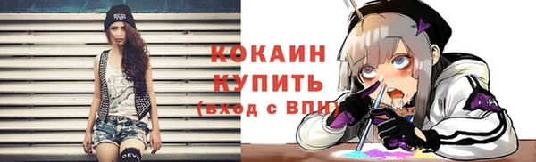 ГАЛЛЮЦИНОГЕННЫЕ ГРИБЫ Карталы
