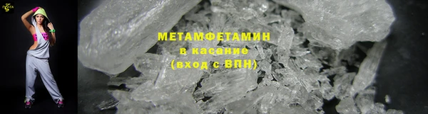 прущие грибы Касимов