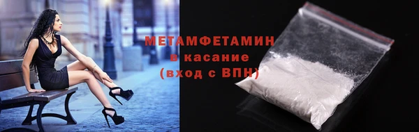 прущие грибы Касимов