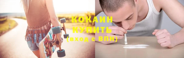 ГАЛЛЮЦИНОГЕННЫЕ ГРИБЫ Карталы
