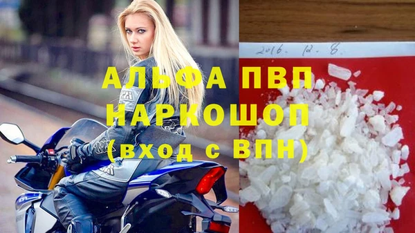 ГАЛЛЮЦИНОГЕННЫЕ ГРИБЫ Карталы