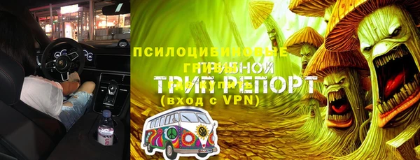 ГАЛЛЮЦИНОГЕННЫЕ ГРИБЫ Карталы