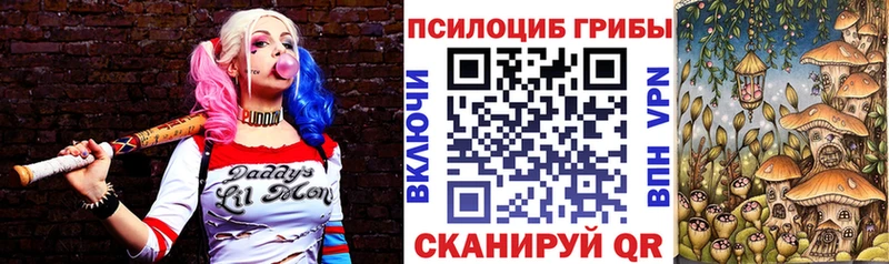Псилоцибиновые грибы мухоморы  дарнет шоп  Златоуст 