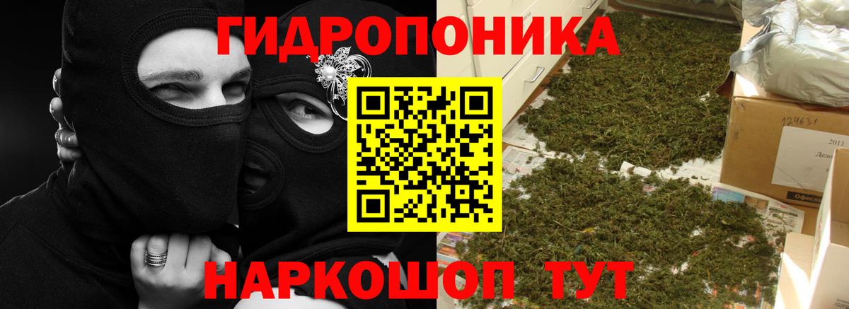 Златоуст  Бошки марихуана Bruce Banner  Марихуана сатива  Вход с VPN 